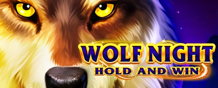 JeetCity schnelle Auszahlungen