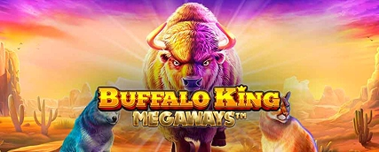 JeetCity Online Belohnungen